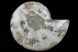 Cut Ammonite Fossil (Half) - Agatized #78340-1